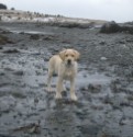 Rocky_winter 2007 032.jpg